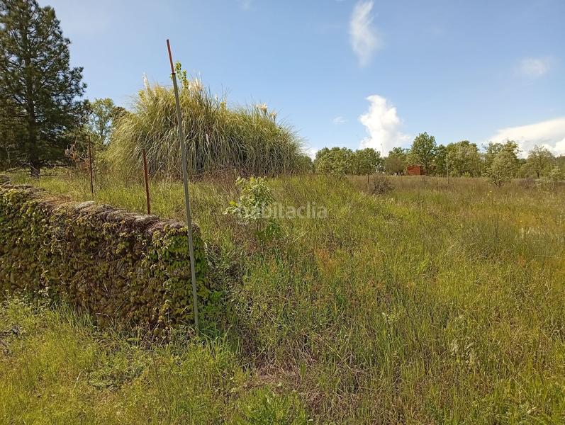 Foto b6126749-c5a7-4205-9db8-f60d58300198. Finca rústica a Villanueva de la Vera Foto b6126749-c5a7-4205-9db8-f60d58300198. Finca rústica a Villanueva de la Vera
