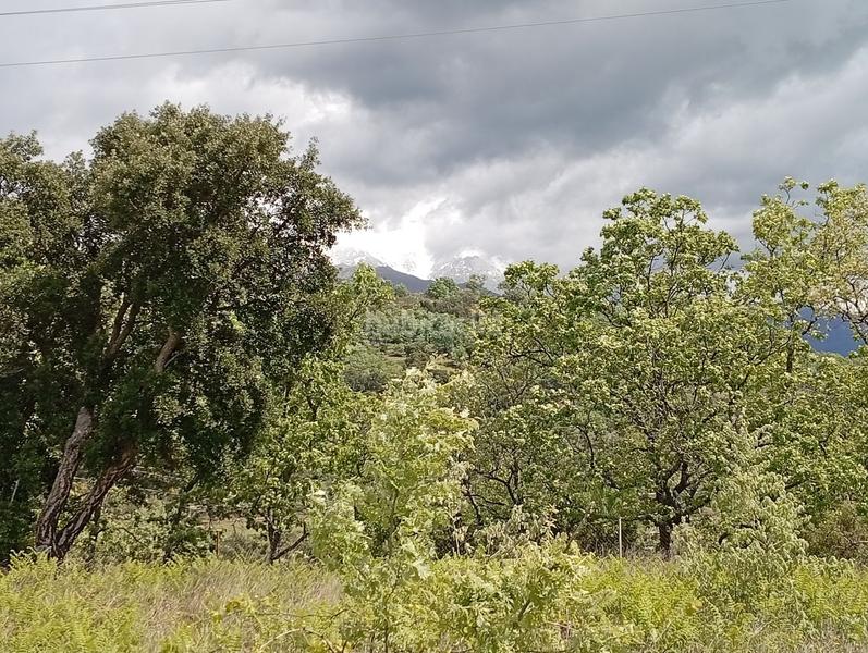 Foto d1523fc5-d295-43e0-87f2-c0277955e929. Finca rústica a Villanueva de la Vera Foto d1523fc5-d295-43e0-87f2-c0277955e929. Finca rústica a Villanueva de la Vera