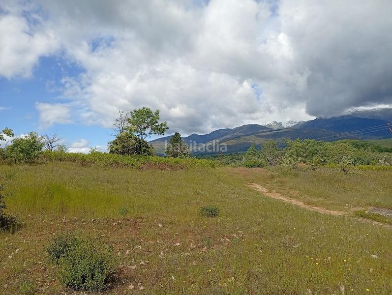 Foto de9f8d58-ac0b-4347-99fb-c5976aaf2cff. Finca rústica a Villanueva de la Vera Foto de9f8d58-ac0b-4347-99fb-c5976aaf2cff. Finca rústica a Villanueva de la Vera