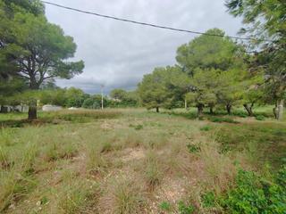 Terreny residencial a Pino Alto. Terreno en miami  para construir. Terreny residencial a Pino Alto. Terreno en miami  para construir.