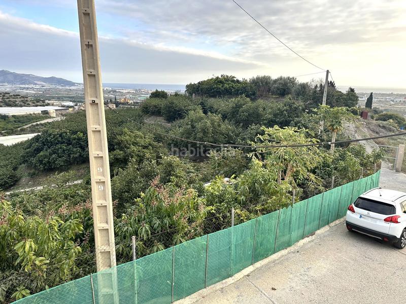 Foto c11d77a4-f3d5-4def-814a-37137485f884. Finca rústica a minasierra alta 1 a Motril ciudad Motril Foto c11d77a4-f3d5-4def-814a-37137485f884. Finca rústica a minasierra alta 1 a Motril ciudad Motril