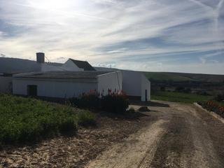 Masia a Arcos de la Frontera. Finca rúst. en venta en alrededores, 3 dormitorios. Masia a Arcos de la Frontera. Finca rúst. en venta en alrededores, 3 dormitorios.