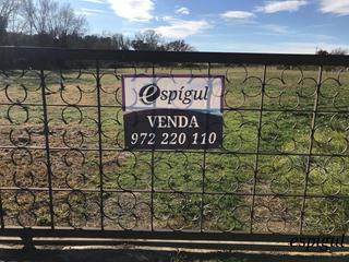 Finca rústica Giv-6229. Parcela de uso agrícola en vilamalla Finca rústica Giv-6229. Parcela de uso agrícola en vilamalla