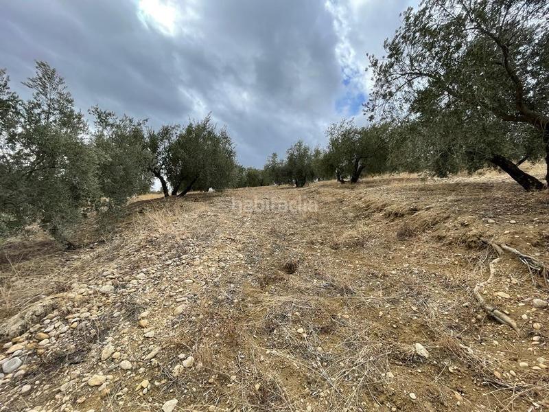 Foto 64df66f8-b80d-459b-bda3-76f2643b812e. Masia a San Ildefonso - Catedral Jaén Foto 64df66f8-b80d-459b-bda3-76f2643b812e. Masia a San Ildefonso - Catedral Jaén