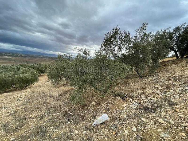 Foto d7d79d32-eb44-4789-ae0b-532c7f936be8. Masia a San Ildefonso - Catedral Jaén Foto d7d79d32-eb44-4789-ae0b-532c7f936be8. Masia a San Ildefonso - Catedral Jaén