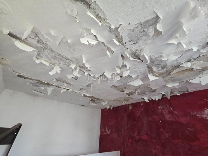 Foto 5de9b960-daf2-424d-8a35-1f775209243f. Country house in Vejer Vejer de la Frontera Foto 5de9b960-daf2-424d-8a35-1f775209243f. Country house in Vejer Vejer de la Frontera