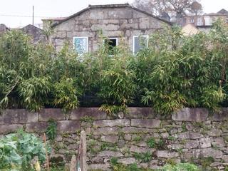 Chalet à Lugar lourido-castelanes 35. Se vende casa con finca en covelo. Chalet à Lugar lourido-castelanes 35. Se vende casa con finca en covelo.