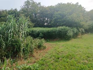 Terreny residencial a Cm san xurxo-saians. Venta de terreno en nagorol. lugar saianes Terreny residencial a Cm san xurxo-saians. Venta de terreno en nagorol. lugar saianes