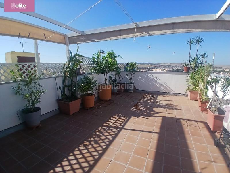 Foto 68887b91-0fd1-44c1-85f6-539062405188. Attico con parcheggio in Torresoto - Agrimensor Jerez de la Frontera Foto 68887b91-0fd1-44c1-85f6-539062405188. Attico con parcheggio in Torresoto - Agrimensor Jerez de la Frontera