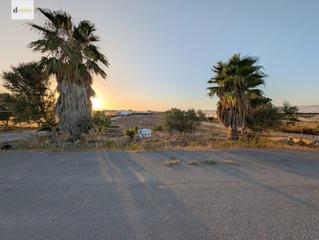 Finca rústica a La Jara. Una de esas parcelas que vuelan. Finca rústica a La Jara. Una de esas parcelas que vuelan.