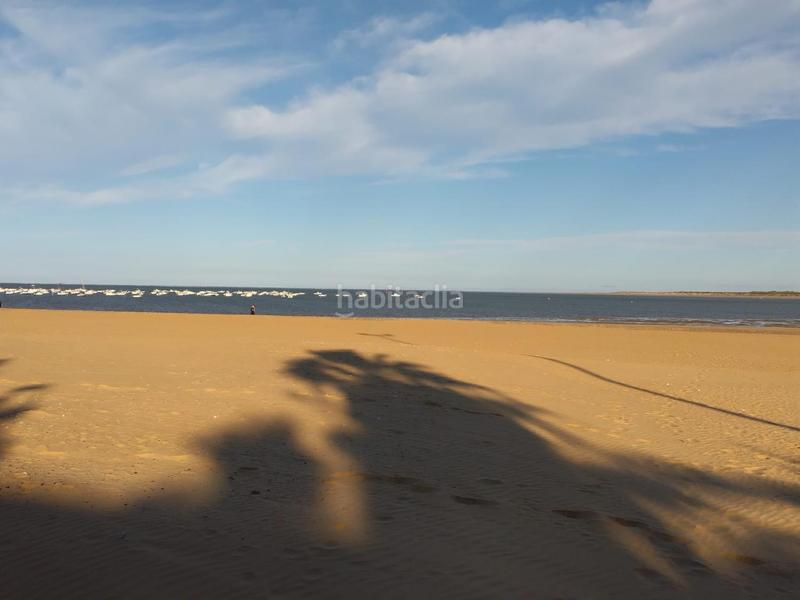 Foto 064443fd-bb67-42d7-8007-e3da3748641a. Ground floor in V Centenario-Piletas-Capuchinos Sanlúcar de Barrameda Foto 064443fd-bb67-42d7-8007-e3da3748641a. Ground floor in V Centenario-Piletas-Capuchinos Sanlúcar de Barrameda