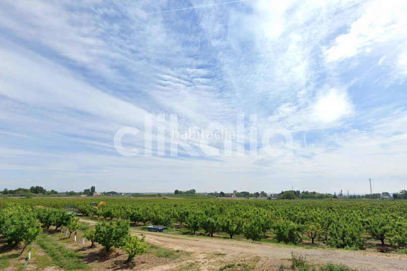 Foto d9b5afb8-9db3-4471-b51a-ff0b89617f9c. Pis a Rosselló Foto d9b5afb8-9db3-4471-b51a-ff0b89617f9c. Pis a Rosselló