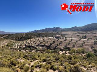 Mas à Lecrín. Encantadora finca rústica con 43.040  m2 con casita de campo de Mas à Lecrín. Encantadora finca rústica con 43.040  m2 con casita de campo de