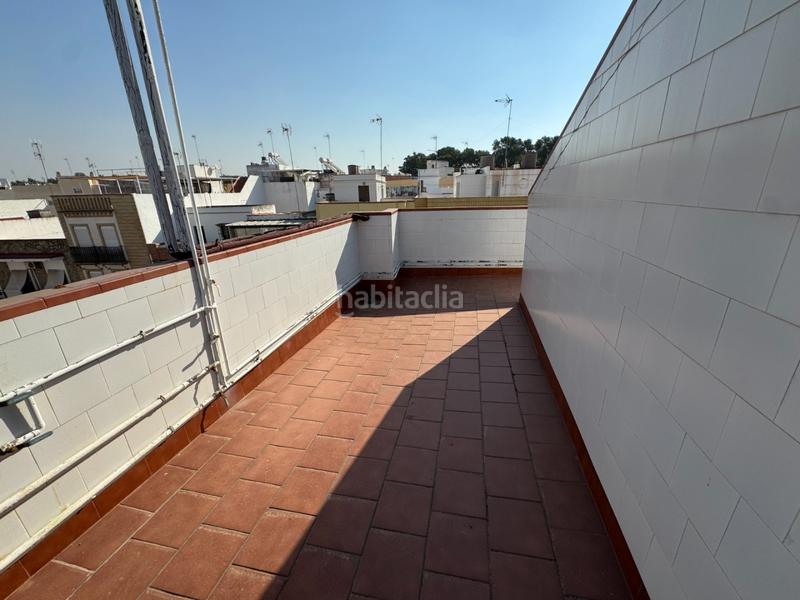 Foto 50b6e260-86cf-4e98-8f44-840568595f2e. Piso magnifico piso en el centro del pueblo de coria del rio avenida primero de mayo, junto a todos los comercios. el piso se divide en en Coria del Río Foto 50b6e260-86cf-4e98-8f44-840568595f2e. Piso magnifico piso en el centro del pueblo de coria del rio avenida primero de mayo, junto a todos los comercios. el piso se divide en en Coria del Río