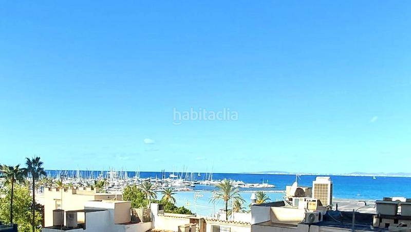 Foto 833a9157-9e0d-4a7b-9815-8674f423e39e. Piso se vende piso en el arenal- en S´Arenal Llucmajor Foto 833a9157-9e0d-4a7b-9815-8674f423e39e. Piso se vende piso en el arenal- en S´Arenal Llucmajor