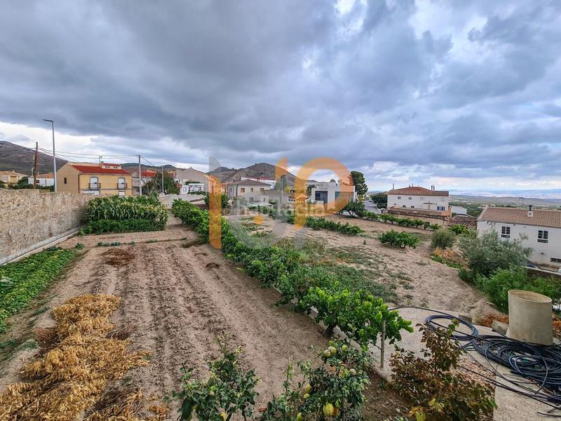 Foto 0c2b218b-2df4-4ba7-94e2-01bb278104c3. Terreny residencial a Oria Foto 0c2b218b-2df4-4ba7-94e2-01bb278104c3. Terreny residencial a Oria