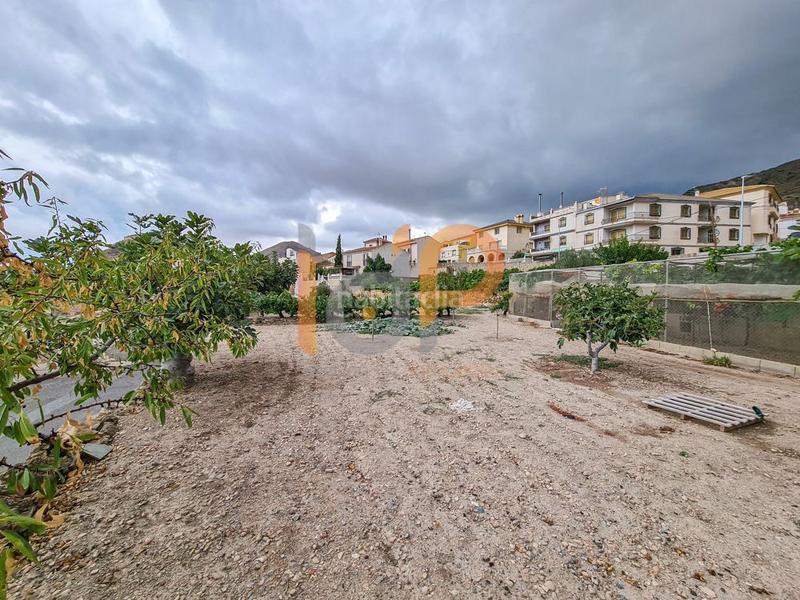 Foto 40b6edbc-9813-49ed-a3ea-433692693b3a. Terreny residencial a Oria Foto 40b6edbc-9813-49ed-a3ea-433692693b3a. Terreny residencial a Oria