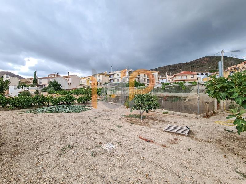 Foto 6e8a63a1-6621-4516-821e-f5068433579e. Terreny residencial a Oria Foto 6e8a63a1-6621-4516-821e-f5068433579e. Terreny residencial a Oria