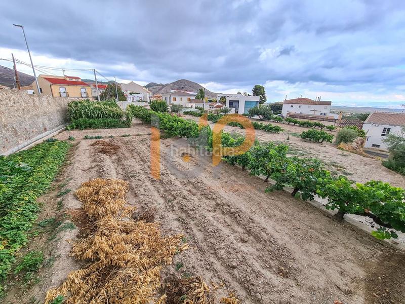 Foto 6fa553f9-28ab-48cc-9c27-b08219e05177. Terreny residencial a Oria Foto 6fa553f9-28ab-48cc-9c27-b08219e05177. Terreny residencial a Oria