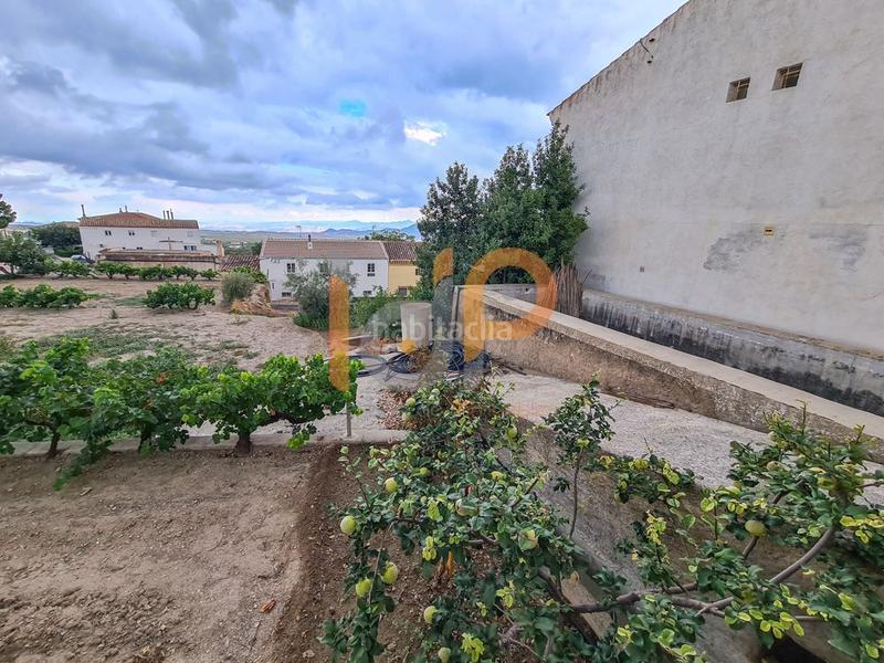 Foto 9bdeb92b-afd0-41cc-9613-2be965e8fce6. Terreny residencial a Oria Foto 9bdeb92b-afd0-41cc-9613-2be965e8fce6. Terreny residencial a Oria