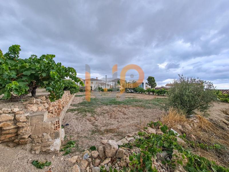 Foto b12042a5-cbe4-4377-b982-058c6a7e43ef. Terreny residencial a Oria Foto b12042a5-cbe4-4377-b982-058c6a7e43ef. Terreny residencial a Oria