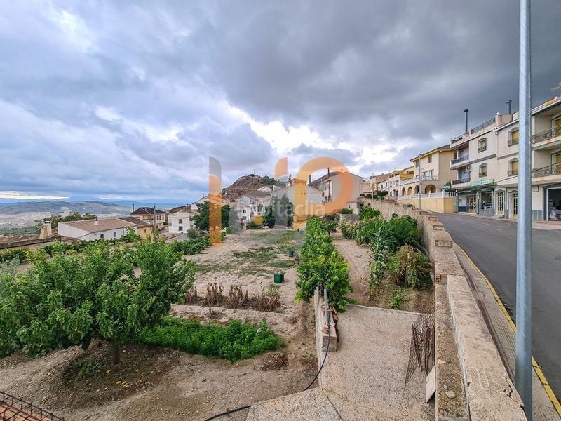 Foto ee0b8883-8c65-4449-b9d0-edeaabc0c33e. Terreny residencial a Oria Foto ee0b8883-8c65-4449-b9d0-edeaabc0c33e. Terreny residencial a Oria