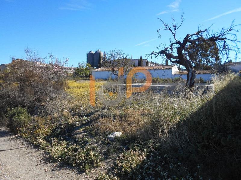 Foto 710686e7-e585-4db7-b6a8-85675c925763. Haus in Huércal - Overa Foto 710686e7-e585-4db7-b6a8-85675c925763. Haus in Huércal - Overa
