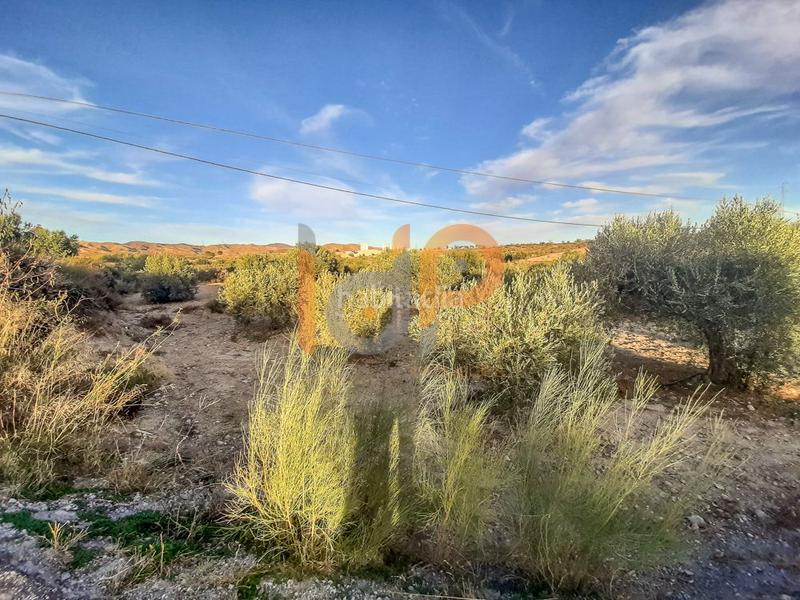 Foto 27e72d9d-72c4-4c94-844b-094ff6b59191. Wohngrundstück in Arboleas Foto 27e72d9d-72c4-4c94-844b-094ff6b59191. Wohngrundstück in Arboleas