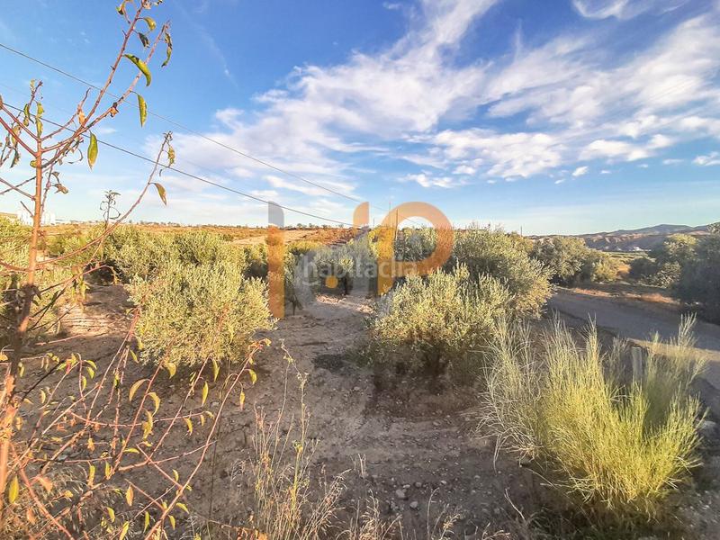 Foto 5a1bfbf4-3987-4f2a-b7a9-a8f2da4ed92e. Wohngrundstück in Arboleas Foto 5a1bfbf4-3987-4f2a-b7a9-a8f2da4ed92e. Wohngrundstück in Arboleas