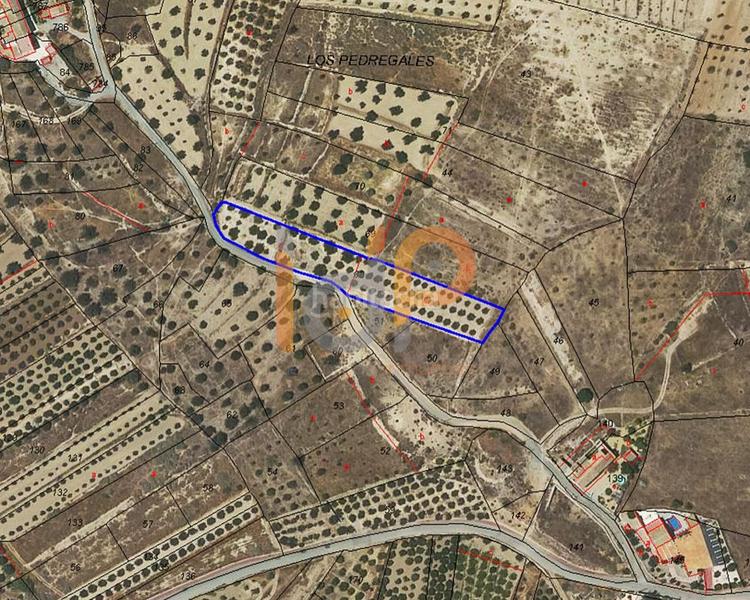 Foto ae6b841a-4855-4028-a82e-d58b155ab298. Wohngrundstück in Arboleas Foto ae6b841a-4855-4028-a82e-d58b155ab298. Wohngrundstück in Arboleas