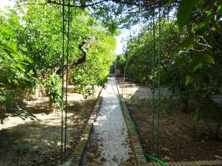 Casa adossada Calle sevilla. Gran casa señorial en el centro con 480 m 2 de parcela y 292 m 2 Casa adossada Calle sevilla. Gran casa señorial en el centro con 480 m 2 de parcela y 292 m 2