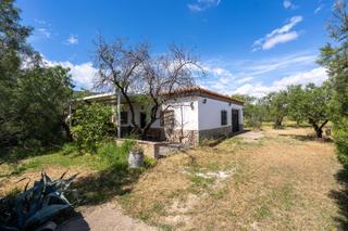 Masia a Camino polígono 35 paraje 79 moladi 1 Masia a Camino polígono 35 paraje 79 moladi 1
