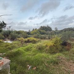 Rural plot in San Roque Pueblo Rural plot in San Roque Pueblo
