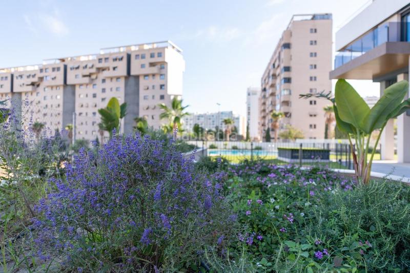 Foto db32ccd3-768c-4724-b4c6-a9b7958b6e86. Àtic amb aparcament piscina a Cabo de las Huertas Alicante Foto db32ccd3-768c-4724-b4c6-a9b7958b6e86. Àtic amb aparcament piscina a Cabo de las Huertas Alicante