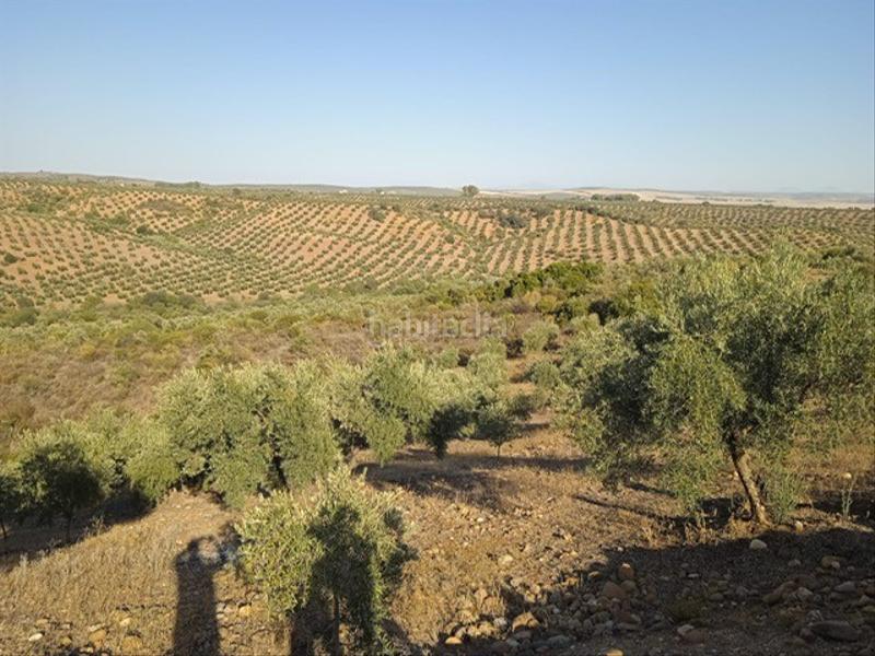 Foto 957b74f4-9e0c-4679-b4a0-54de92cb5b26. Finca rústica a Adamuz Foto 957b74f4-9e0c-4679-b4a0-54de92cb5b26. Finca rústica a Adamuz