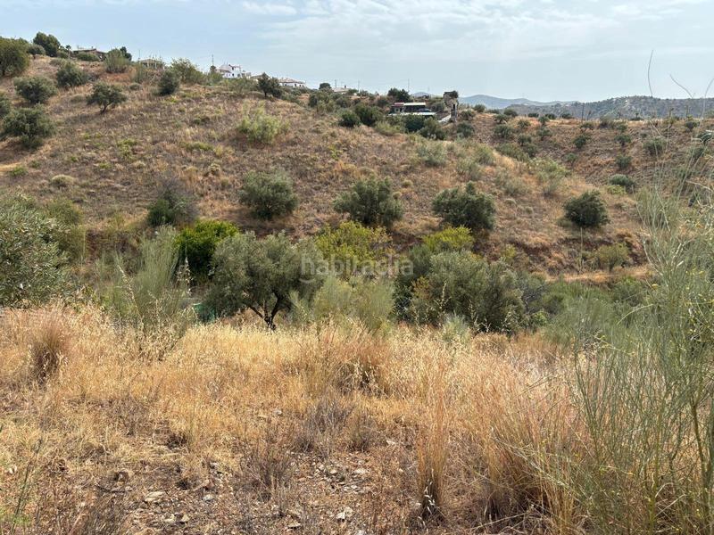 Foto 49778488-3560-4699-976b-576b55b66aca. Landgut in Lo Cea Rincón de la Victoria Foto 49778488-3560-4699-976b-576b55b66aca. Landgut in Lo Cea Rincón de la Victoria