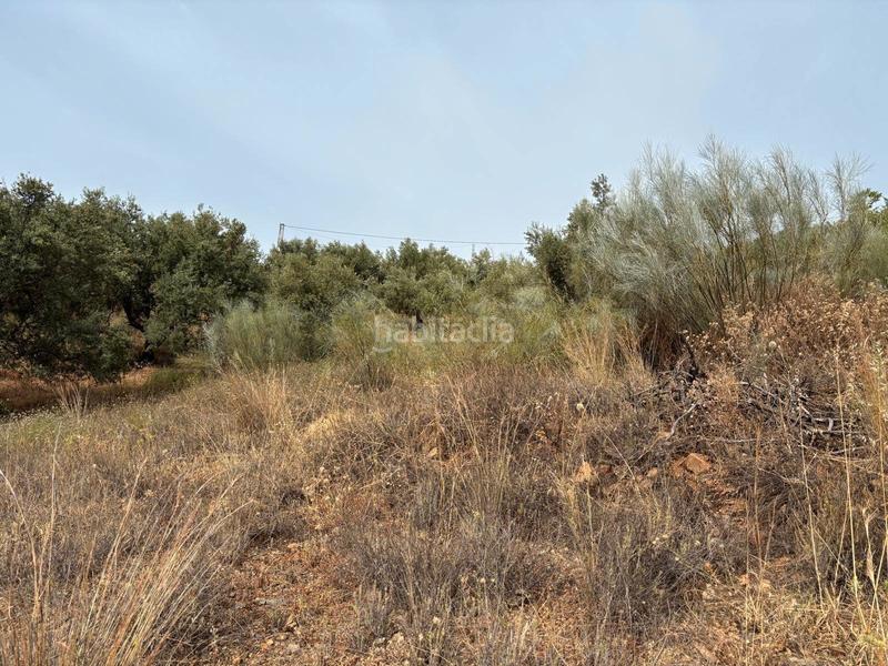 Foto 8941fda5-40a7-45d6-b81b-85482bd460ca. Landgut in Lo Cea Rincón de la Victoria Foto 8941fda5-40a7-45d6-b81b-85482bd460ca. Landgut in Lo Cea Rincón de la Victoria