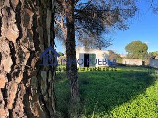 Lloguer Terreny residencial a La pilarica. Parcela en alquiler en la puebla del rio. Lloguer Terreny residencial a La pilarica. Parcela en alquiler en la puebla del rio.