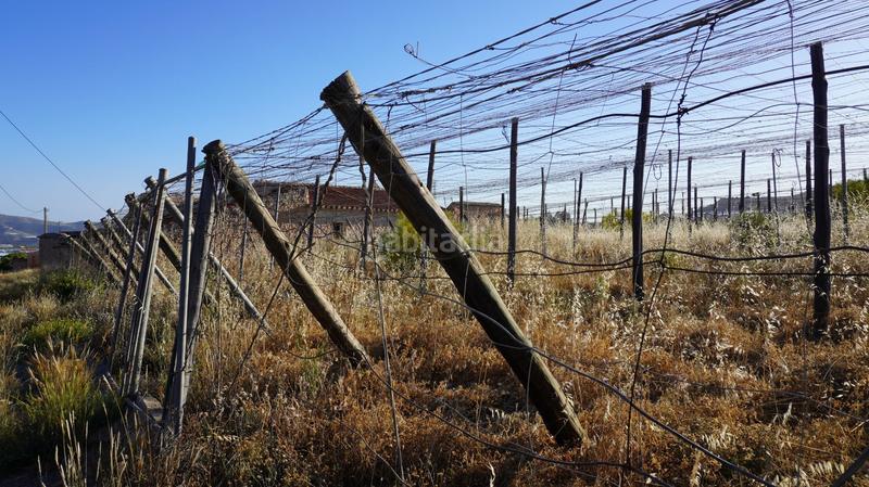 Foto 269f3e02-5d59-464a-b836-010687cbbed4. Finca rústica a Los Tablones - La Garnatilla Motril Foto 269f3e02-5d59-464a-b836-010687cbbed4. Finca rústica a Los Tablones - La Garnatilla Motril