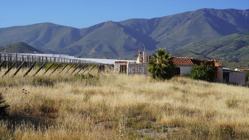 Foto 27d91a0e-ef51-40c1-bb95-f7f35db61d1e. Finca rústica a Los Tablones - La Garnatilla Motril Foto 27d91a0e-ef51-40c1-bb95-f7f35db61d1e. Finca rústica a Los Tablones - La Garnatilla Motril