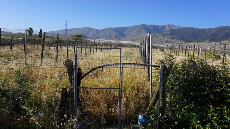 Foto 34aa1a43-6dd0-4bad-a4f8-9ed5d4db5ee9. Finca rústica a Los Tablones - La Garnatilla Motril Foto 34aa1a43-6dd0-4bad-a4f8-9ed5d4db5ee9. Finca rústica a Los Tablones - La Garnatilla Motril