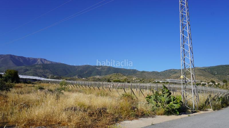 Foto 3b6e5a80-4c5d-4e29-b4eb-e8e790cd0a9c. Finca rústica a Los Tablones - La Garnatilla Motril Foto 3b6e5a80-4c5d-4e29-b4eb-e8e790cd0a9c. Finca rústica a Los Tablones - La Garnatilla Motril