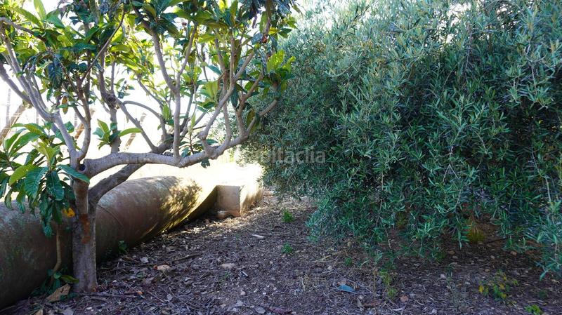 Foto 572cc36e-0492-4bcf-9b75-7df6a1373ab2. Finca rústica a Los Tablones - La Garnatilla Motril Foto 572cc36e-0492-4bcf-9b75-7df6a1373ab2. Finca rústica a Los Tablones - La Garnatilla Motril