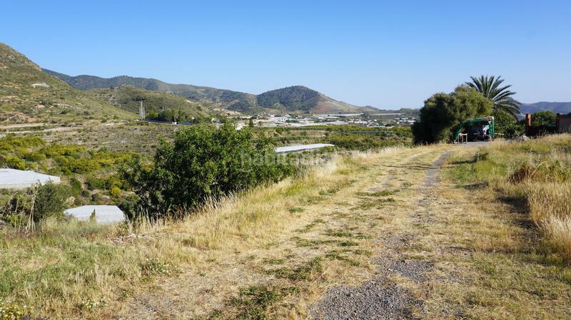 Foto 83376478-e3bb-4c8e-bde9-6071b39a1a54. Finca rústica a Los Tablones - La Garnatilla Motril Foto 83376478-e3bb-4c8e-bde9-6071b39a1a54. Finca rústica a Los Tablones - La Garnatilla Motril