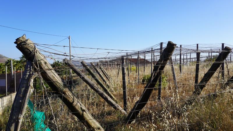 Foto 89767dd5-0dfe-412a-8734-d8e4e03f295c. Finca rústica a Los Tablones - La Garnatilla Motril Foto 89767dd5-0dfe-412a-8734-d8e4e03f295c. Finca rústica a Los Tablones - La Garnatilla Motril