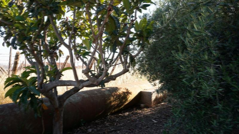 Foto 9b19f82d-c6fe-4699-80cb-db607e0b7ffc. Finca rústica a Los Tablones - La Garnatilla Motril Foto 9b19f82d-c6fe-4699-80cb-db607e0b7ffc. Finca rústica a Los Tablones - La Garnatilla Motril