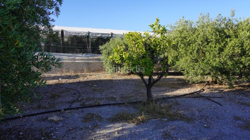 Foto b4147edc-56a8-4ace-9d0b-59297dca74b1. Finca rústica a Los Tablones - La Garnatilla Motril Foto b4147edc-56a8-4ace-9d0b-59297dca74b1. Finca rústica a Los Tablones - La Garnatilla Motril
