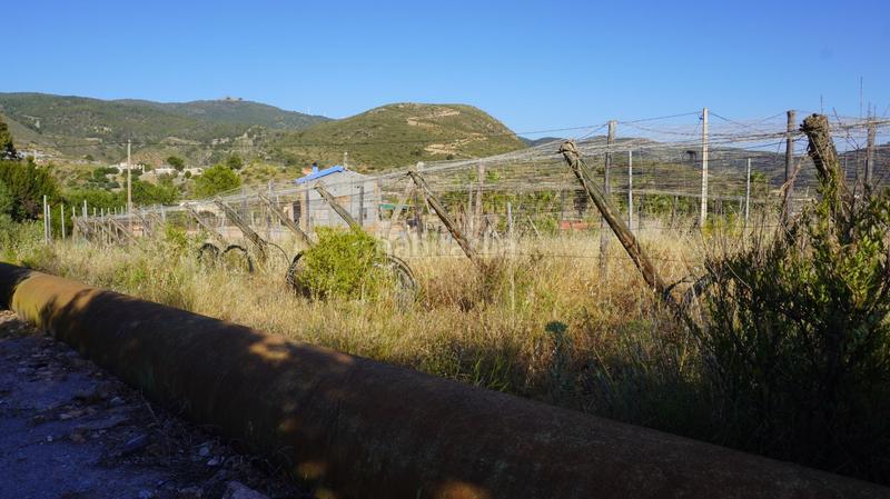 Foto bd40d67d-a428-41ef-985d-cacea0627b62. Finca rústica a Los Tablones - La Garnatilla Motril Foto bd40d67d-a428-41ef-985d-cacea0627b62. Finca rústica a Los Tablones - La Garnatilla Motril