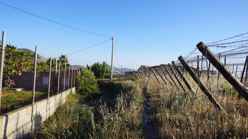Foto e9caadbf-3fac-4357-b5b1-7ffbfc4ee59a. Finca rústica a Los Tablones - La Garnatilla Motril Foto e9caadbf-3fac-4357-b5b1-7ffbfc4ee59a. Finca rústica a Los Tablones - La Garnatilla Motril