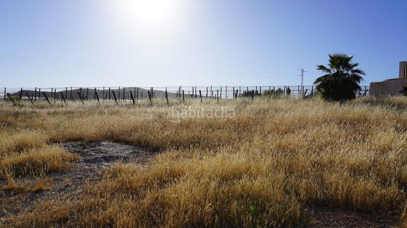 Foto f7d94c99-e974-430f-a252-fd32b26ec8e7. Finca rústica a Los Tablones - La Garnatilla Motril Foto f7d94c99-e974-430f-a252-fd32b26ec8e7. Finca rústica a Los Tablones - La Garnatilla Motril